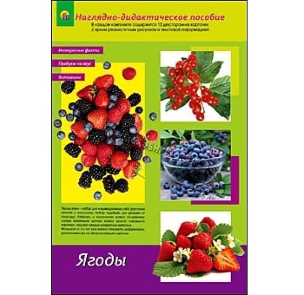 Дидактическое пособие "Ягоды садовые и лесные"