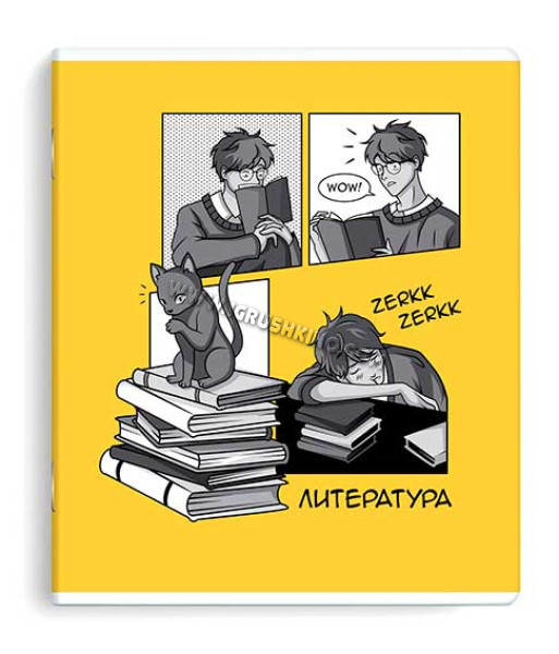 Тетрадь предм. 48л. ФЕНИКС "Аниме-Литература" 63431 мел.карт.,выб.твин уф-лак,линейка